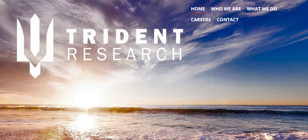 Trident Research : Market Research Company In Bengalore