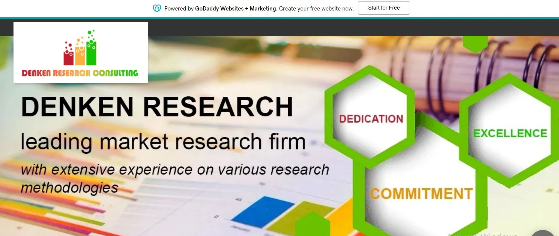 Denken Research Consulting